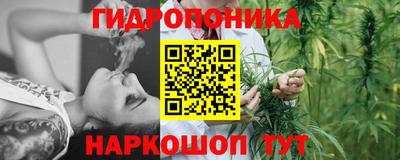 ПСИЛОЦИБИНОВЫЕ ГРИБЫ Гатчина