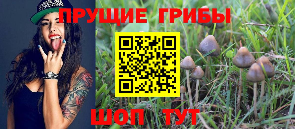 Галлюциногенные грибы мицелий Заречный