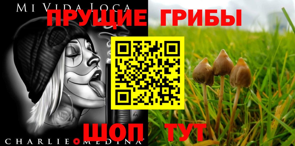 Псилоцибиновые грибы MAGIC MUSHROOMS  Псилоцибиновые грибы Cubensis  Вход с VPN  Заречный 